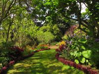 Blandys Garden