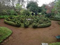 Blandys Garten