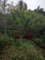 Blandys Garten