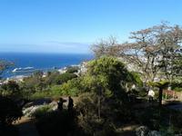 Blick auf Funchal