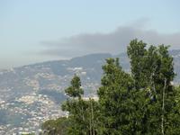 Blick auf Funchal