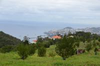 Blick auf Funchal