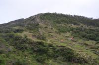 Blick auf die Berge