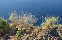 Blick aufs Meer