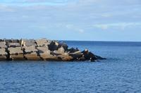 Blick aufs Meer