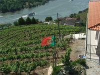 Blick ins Douro-Tal