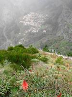 Blick von Eira do Serrado ins Nonnental 