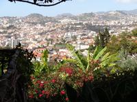 Blick von Pregetter’s Orchideengarten „Jardim Orquídea“, Funchal 