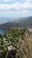 Blick zu Flughafen Madeira