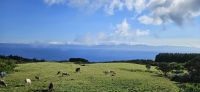 Blick zur nächsten Insel Sao Jorge