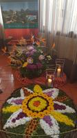 Blumenbild in unserem Hotel