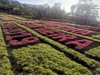 Botanischer Garten Funchal Madeira