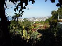 Botanischer Garten Funchal