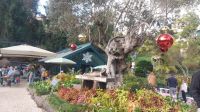 Botanischer Garten Monte in Madeira, Café