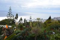Botanischer Garten Monte