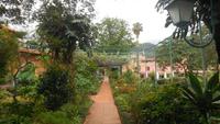 Botanischer Garten im Hotel