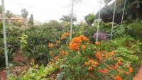 Botanischer Garten im Hotel