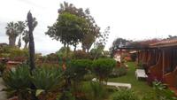 Botanischer Garten im Hotel