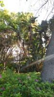 Botanischer Garten
