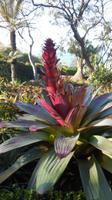 Botanischer Garten