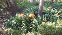 Botanischer Garten