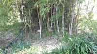 Botanischer Garten