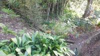 Botanischer Garten