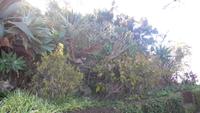 Botanischer Garten