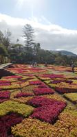Botanischer Garten