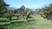 Botanischer Garten