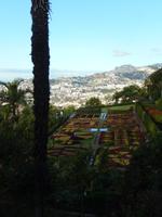 Botanischer Garten