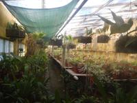 Botanischer Garten