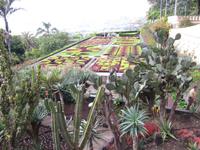 Botanischer Garten