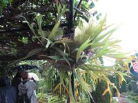 Botanischer Garten