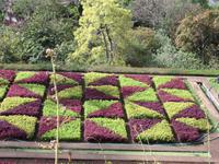 Botanischer Garten