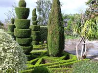 Botanischer Garten