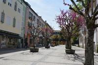 Braga (5)