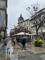 Braga (5)