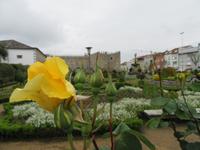Braga