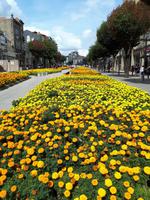 Braga