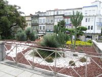Braga