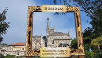 Bucaco