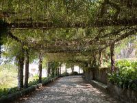 Bussaco (2)