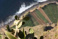 Cabo GirÃ£o