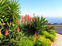 Cabo Girão