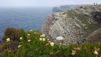 Cabo Sao Vincente