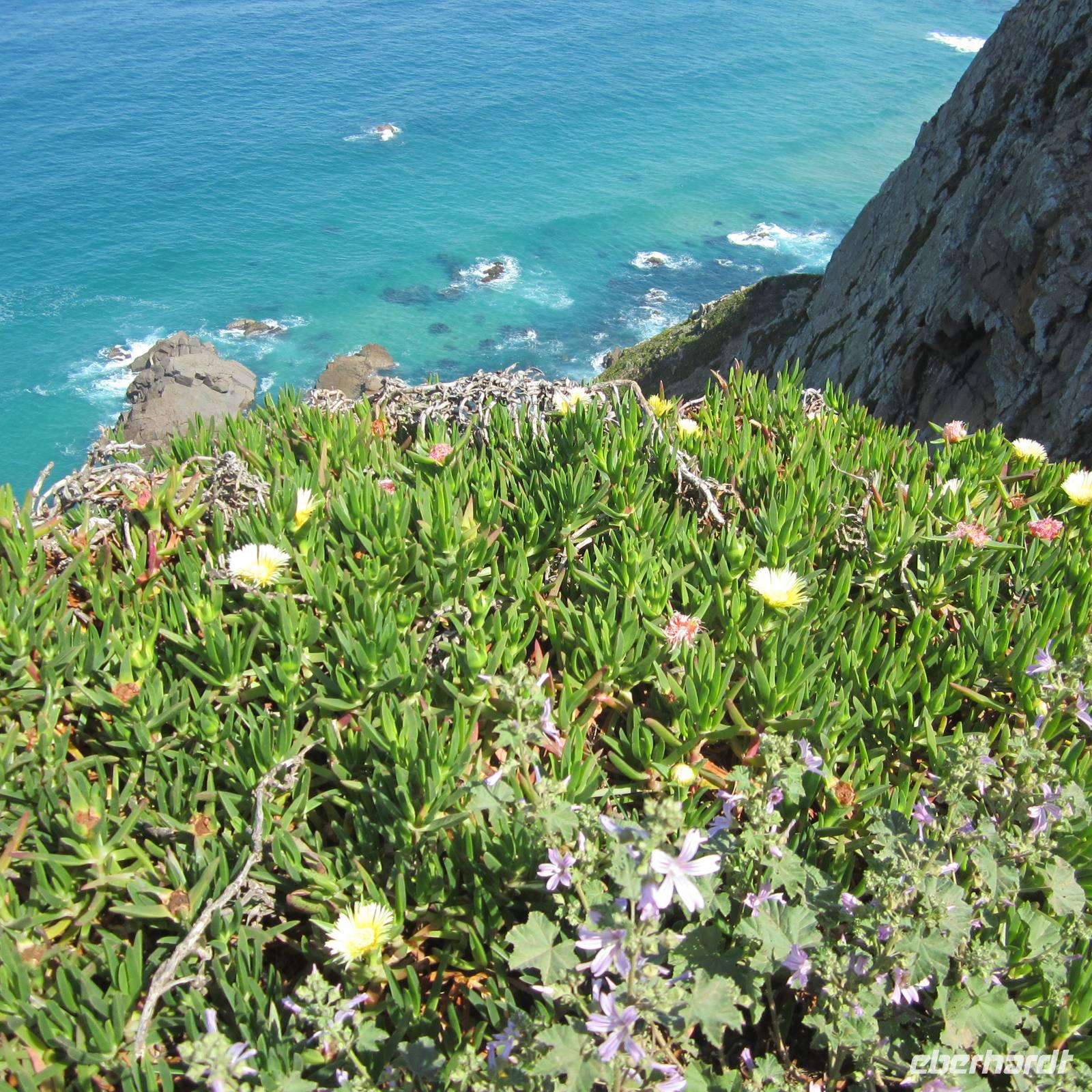 Cabo da Roca