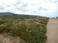Cabo da Roca