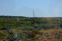 Cabo de São Vicente 