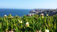 Cabo de Sao Vincente